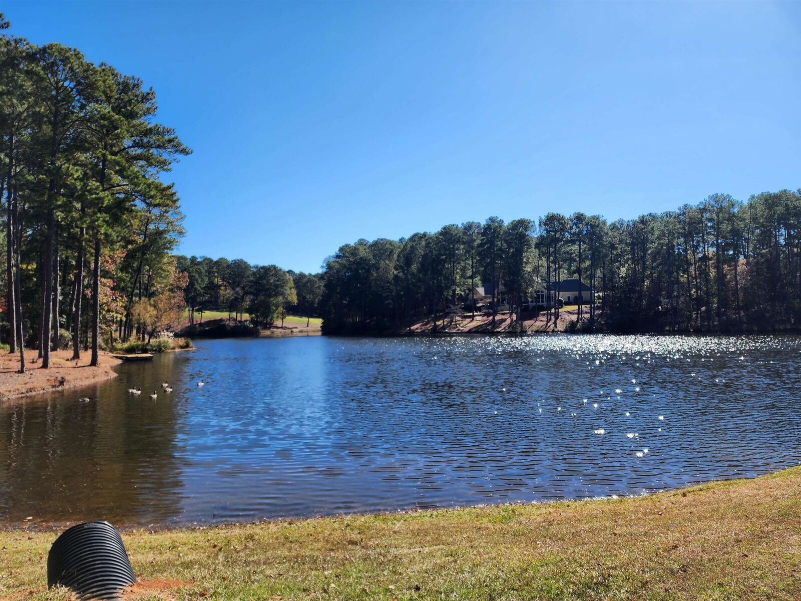 Property Photo: 1071 Cedar Ridge Lane GA 30642