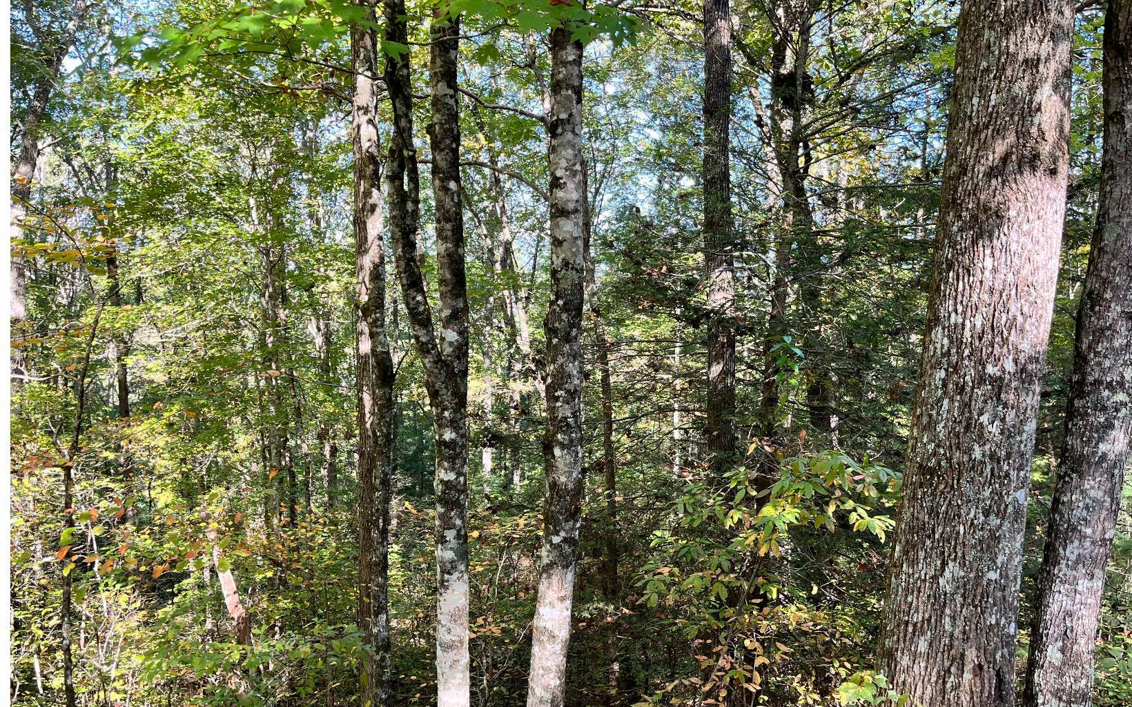 Property Photo:  00 Big Rock Trail  NC 28906 