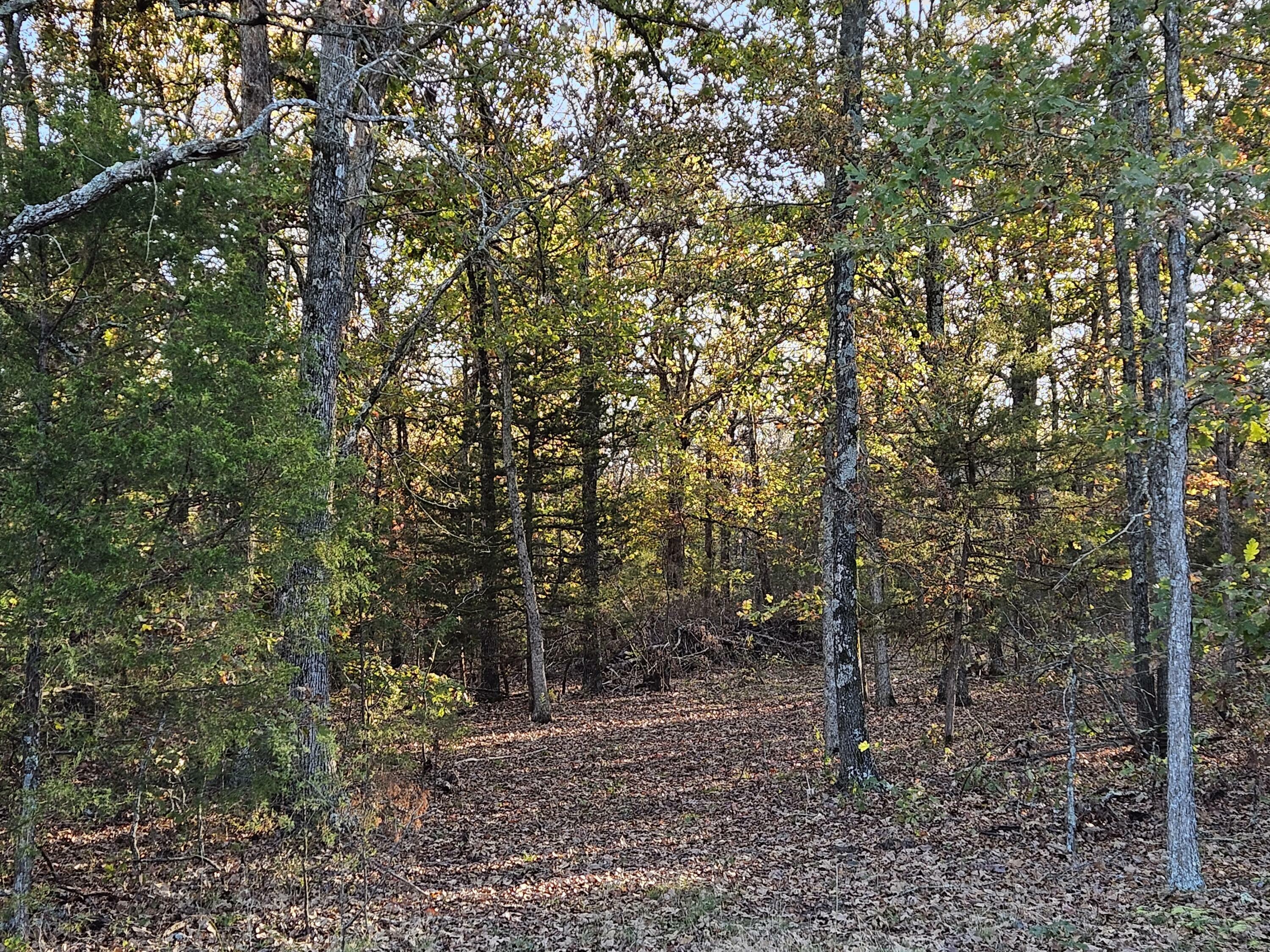 Property Photo:  000 State Highway 174  MO 65705 