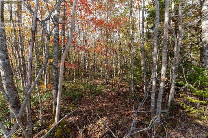 64 Morton Drive — photo 1