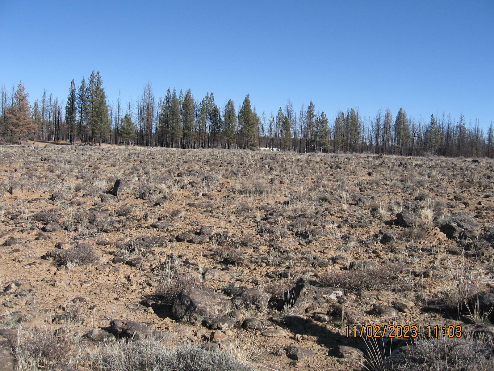 Property Photo:  Lot 16N Shasta Fir Way  OR 97622 