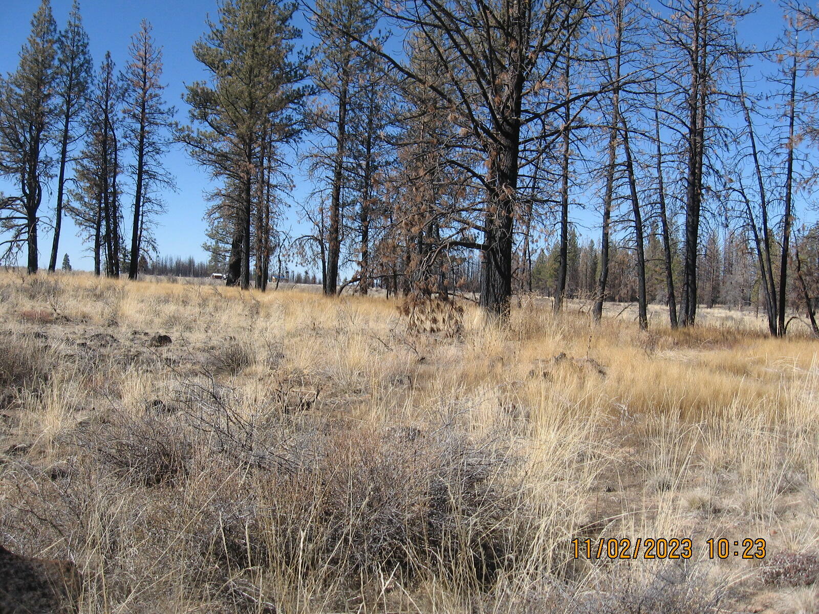 Property Photo:  Lot 15N Douglas Fir Lane  OR 97622 