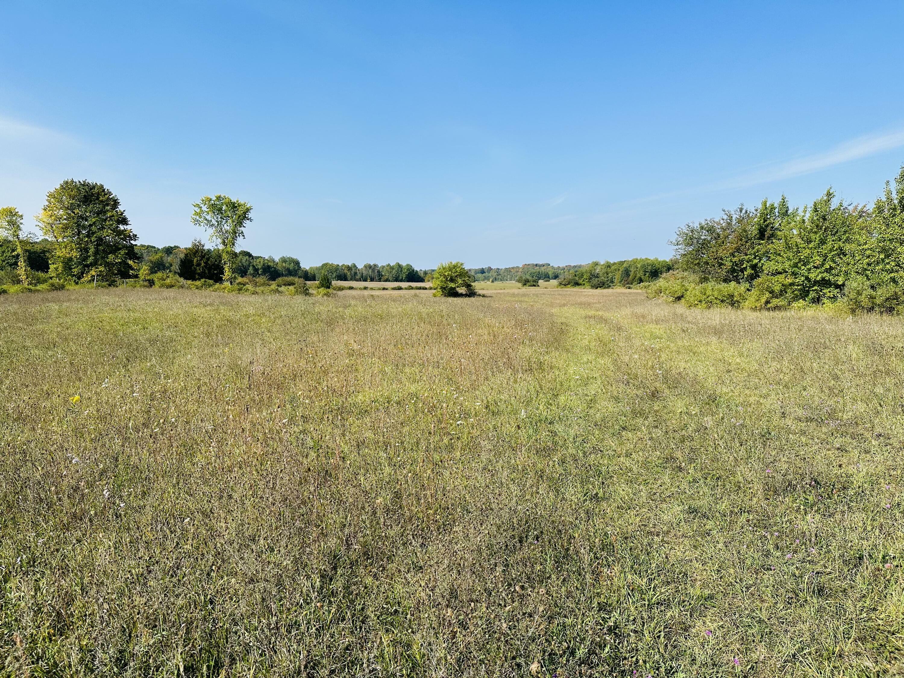 Property Photo:  S Porter Road 76 Acres  MI 49765 