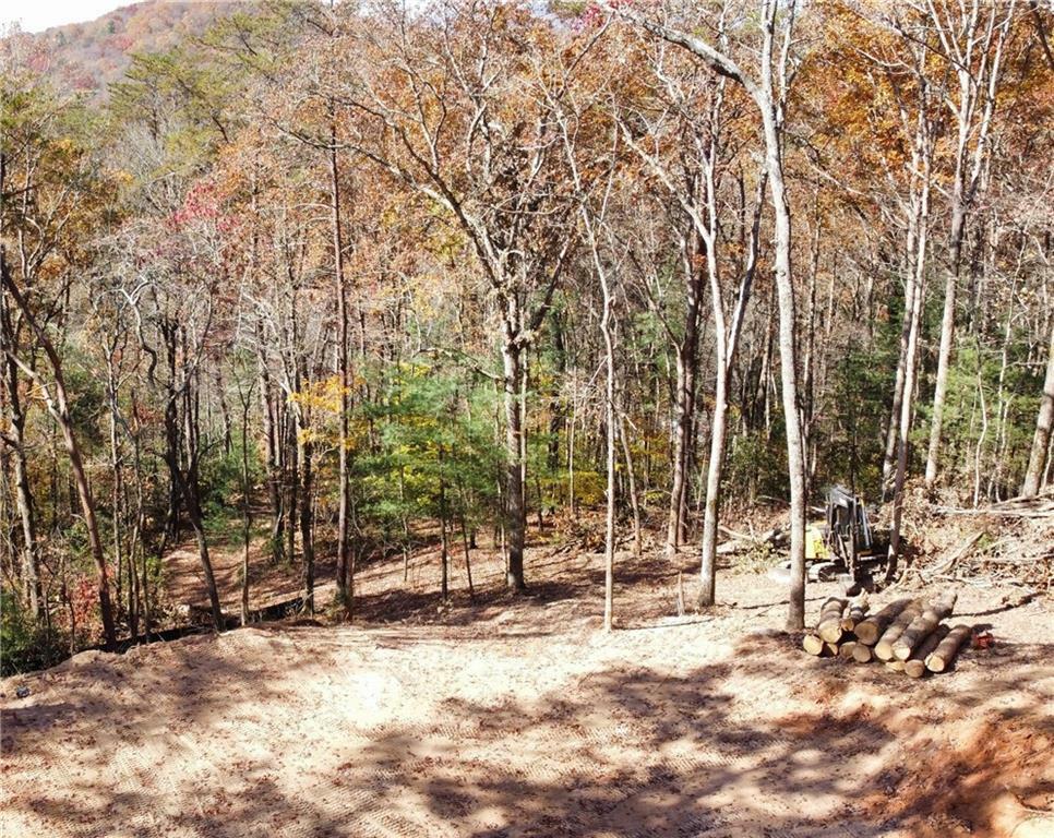 Property Photo:  9663 Doublehead Gap Road  GA 30513 