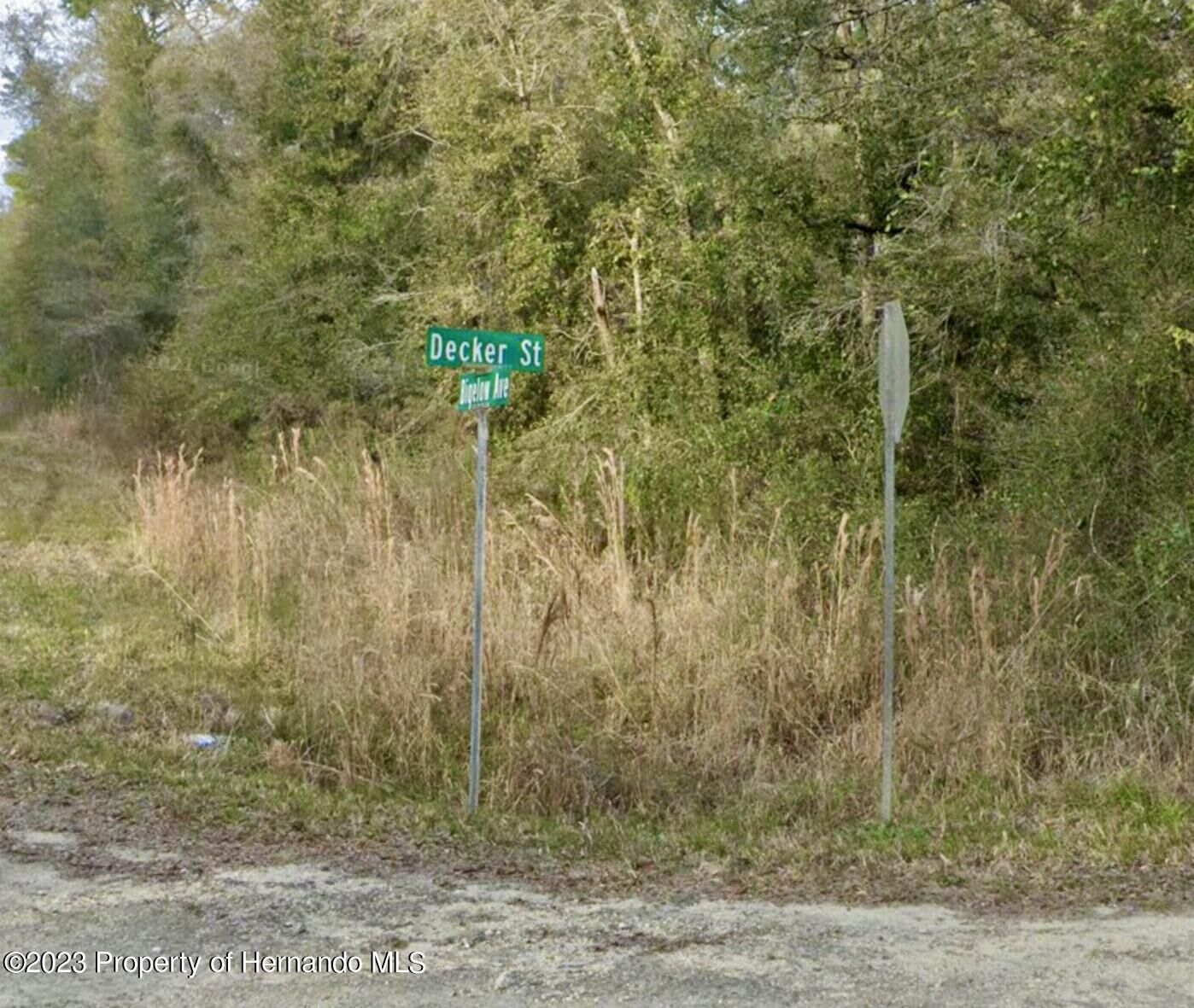 Property Photo:  0 Decker Street  FL 33597 