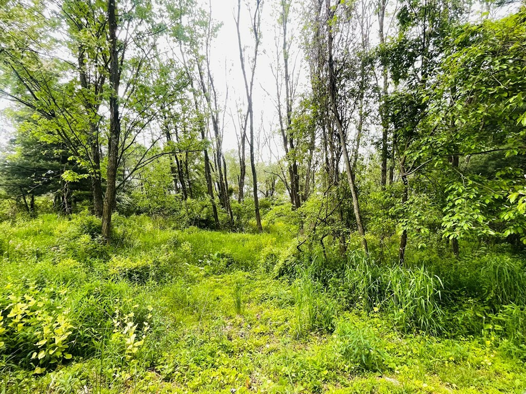 Property Photo:  5.41 Ac Kerrick Hill Road  PA 18848 