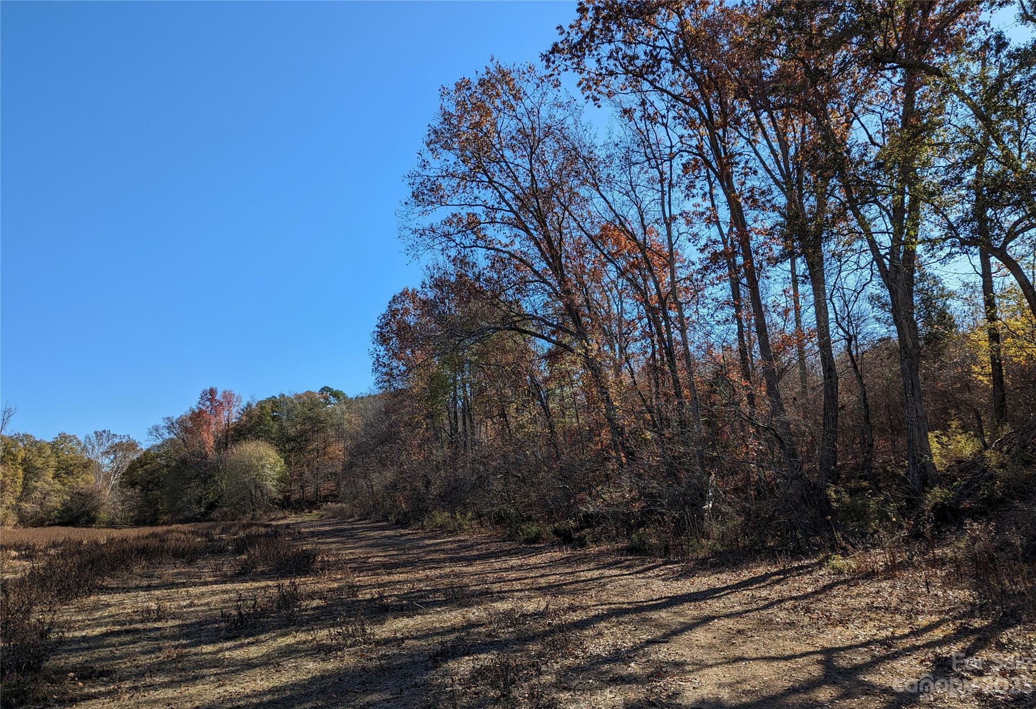 Property Photo: 0 0 Woods NC 28054