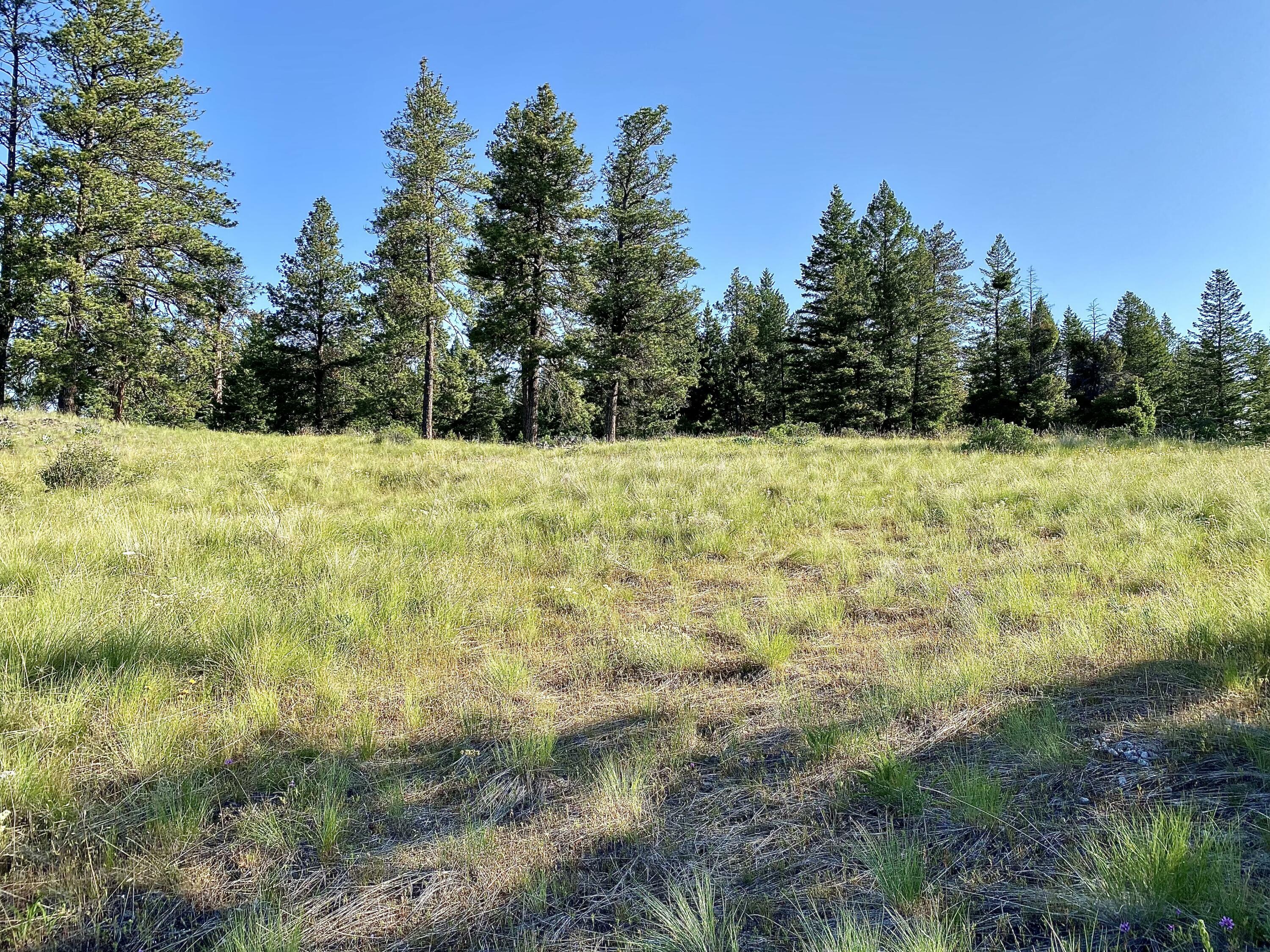 Property Photo:  0001 Dignity Ranch Rd  WA 99166 