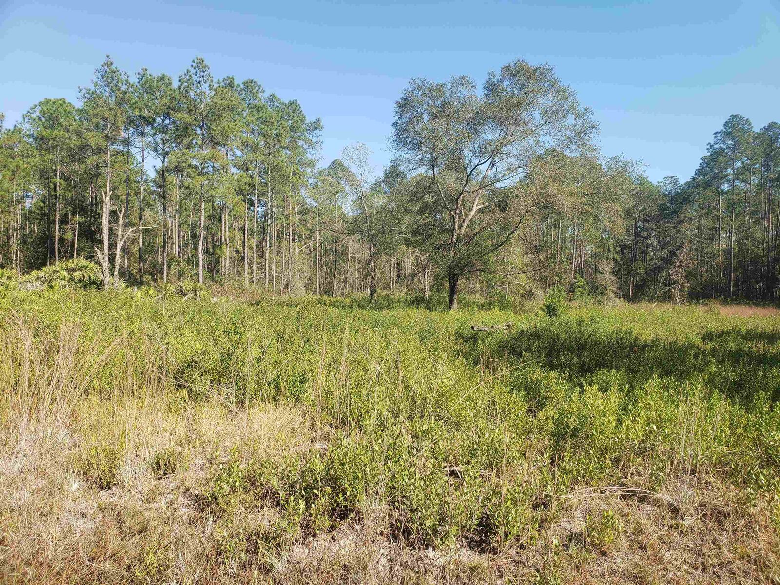 Property Photo: 10690 Erickson Ave FL 32145
