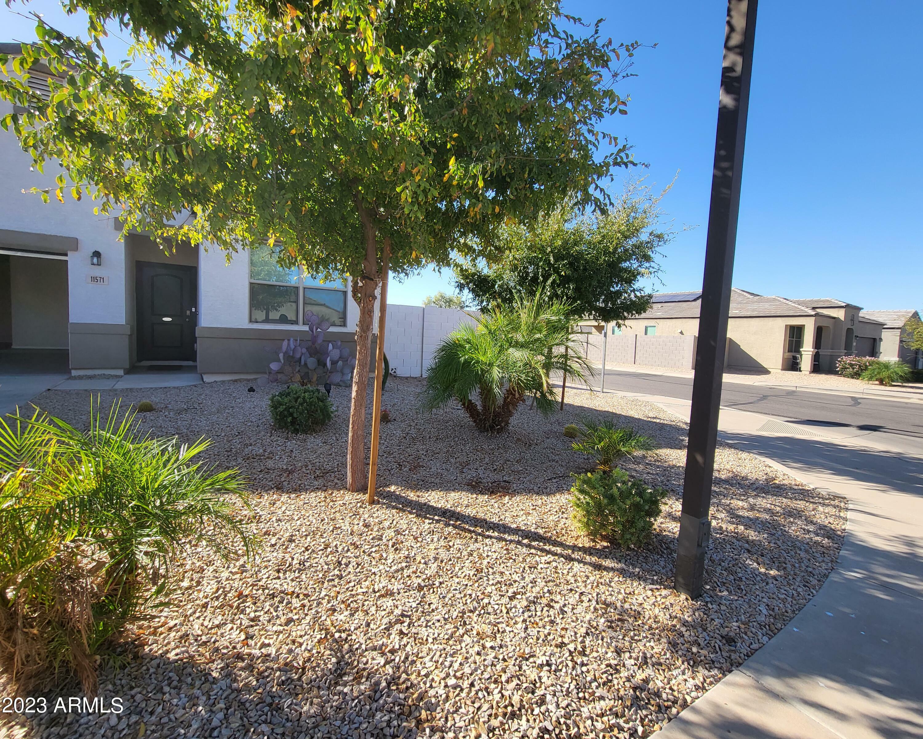 Property Photo:  11571 E Verbina Lane  AZ 85132 