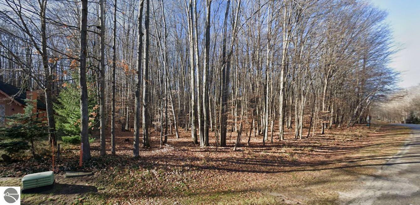 Property Photo: Lot 1152 Michaywe No. 4 Sec 2 T29n R3w MI 49735