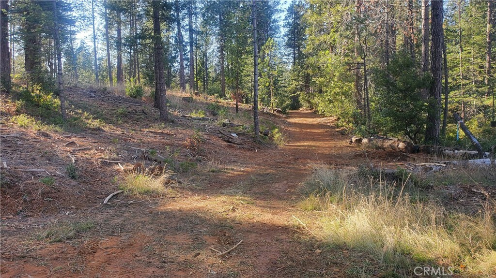 Property Photo:  1 Coutolenc Road  CA 95954 