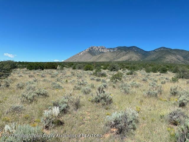 Property Photo:  Lot 6B Via De Benado  NM 88301 