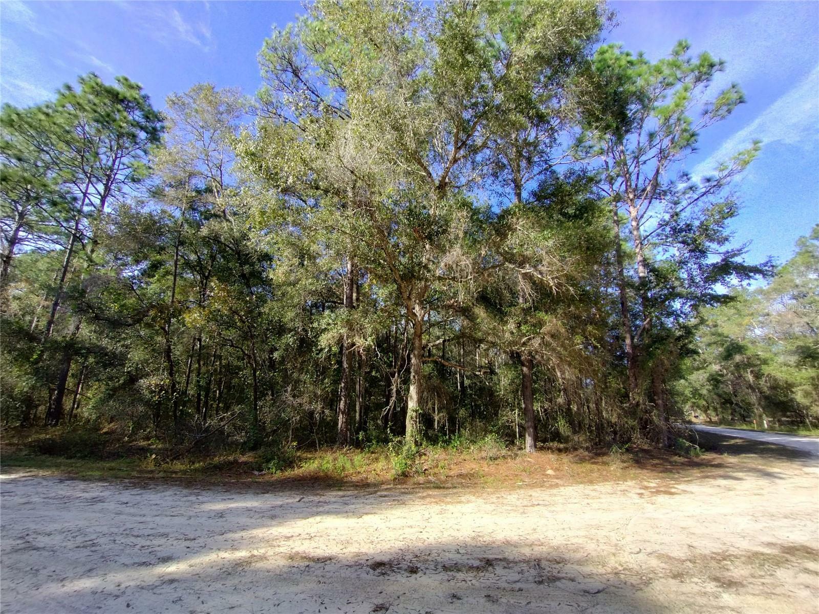 Property Photo:  00 SW 161st Court Road  FL 34481 