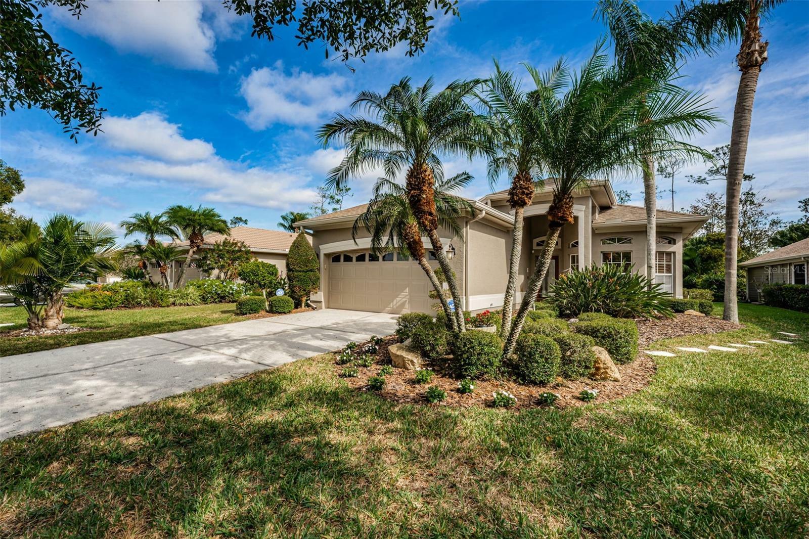 Property Photo:  1499 Riverdale Drive  FL 34677 