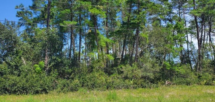 Property Photo:  Tbd SW 171 Place  FL 34471 