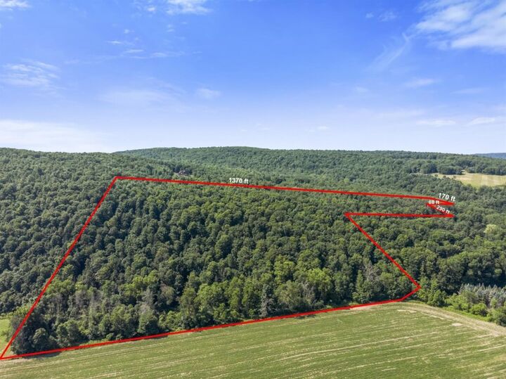 27 South Hill Road  Spencer NY 14883 photo