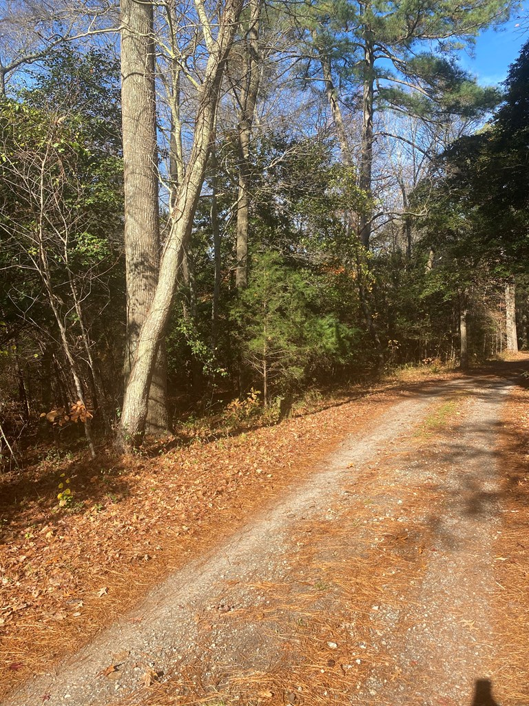 Property Photo:  Lot 1 Royal Woods Ln  VA 23306 