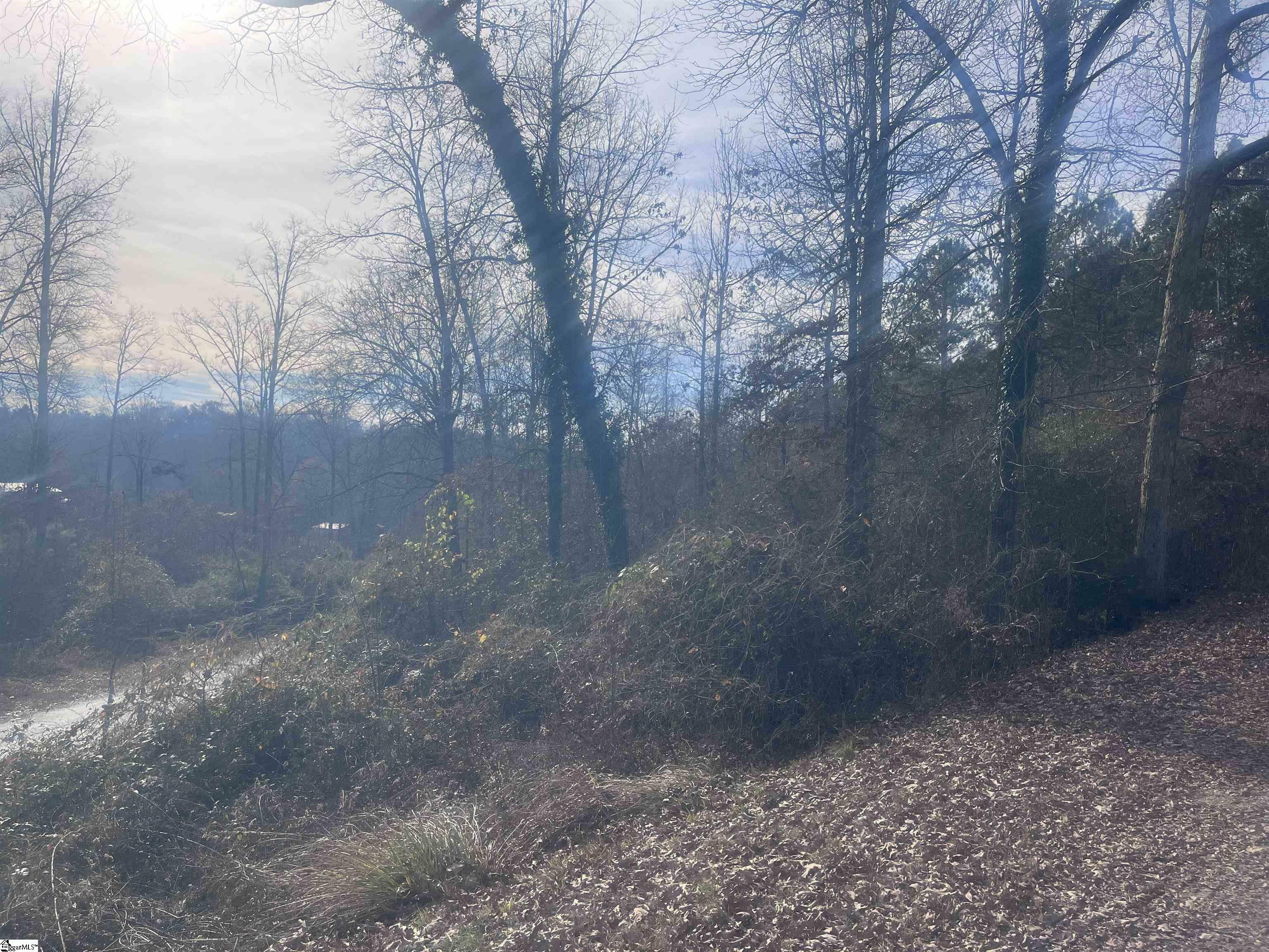 Property Photo:  000 Pine Knoll Drive Lot 62  SC 29643 