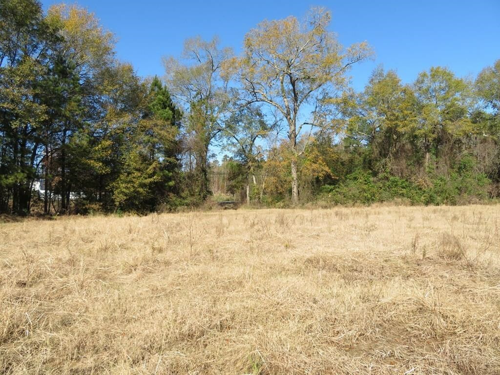 Property Photo:  3513 (1) Old Union Road  TX 75904 