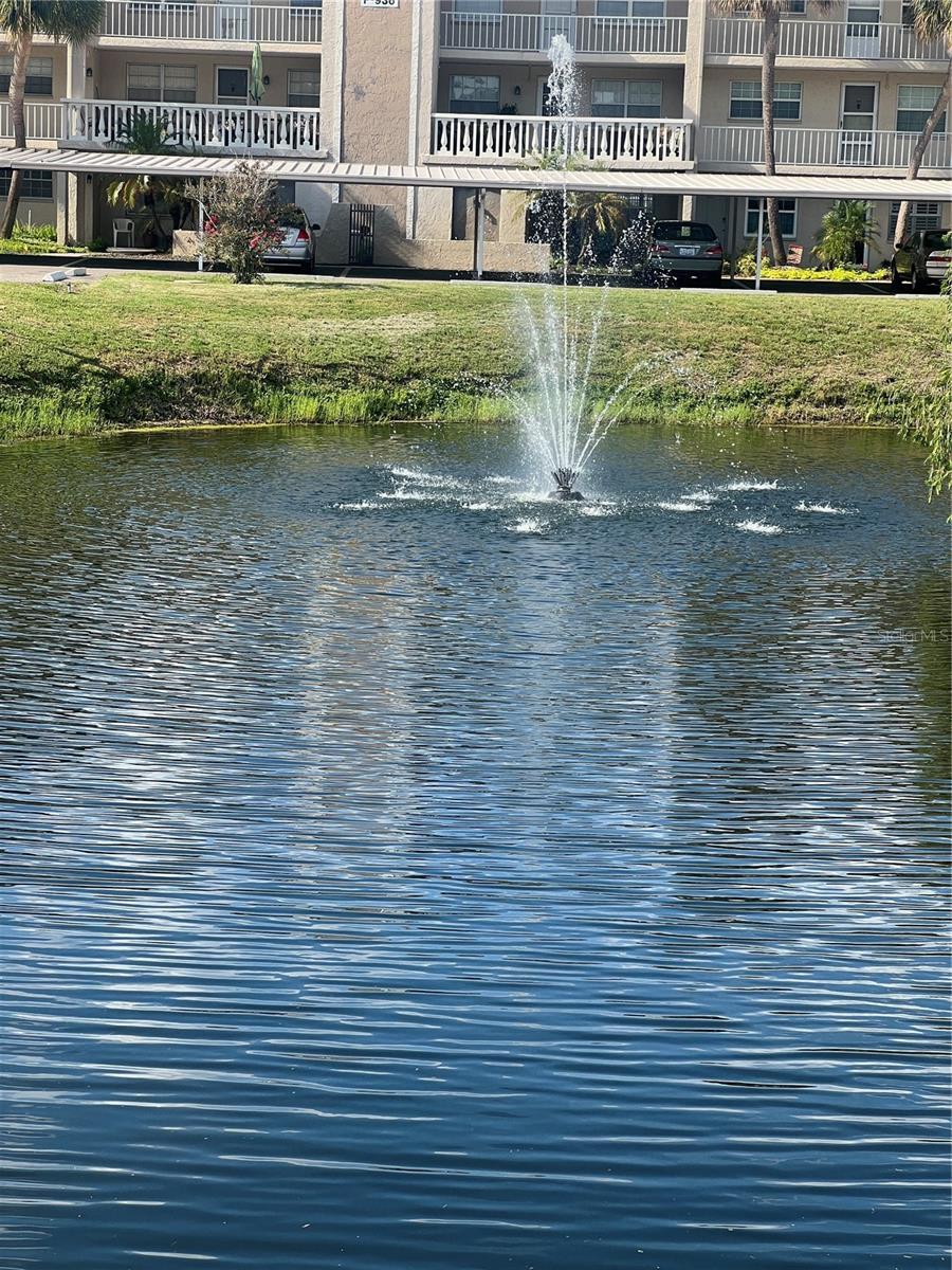 Property Photo: 821 Patricia Avenue 205 FL 34698