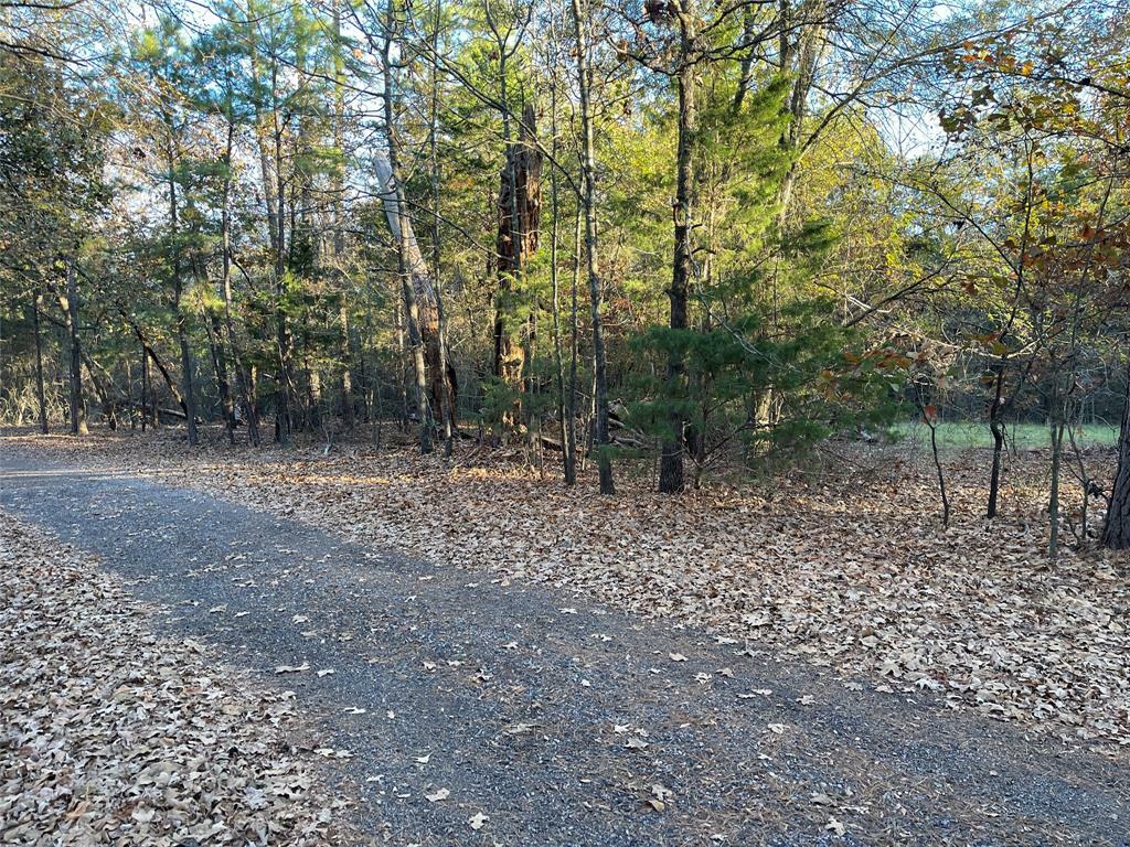 Property Photo:  Lot 03 County Rd 2450  TX 75451 