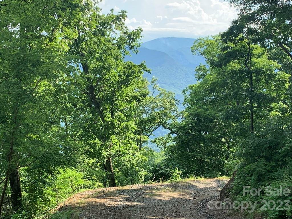 Property Photo: Lot 9 Deep Spring Road NC 28779