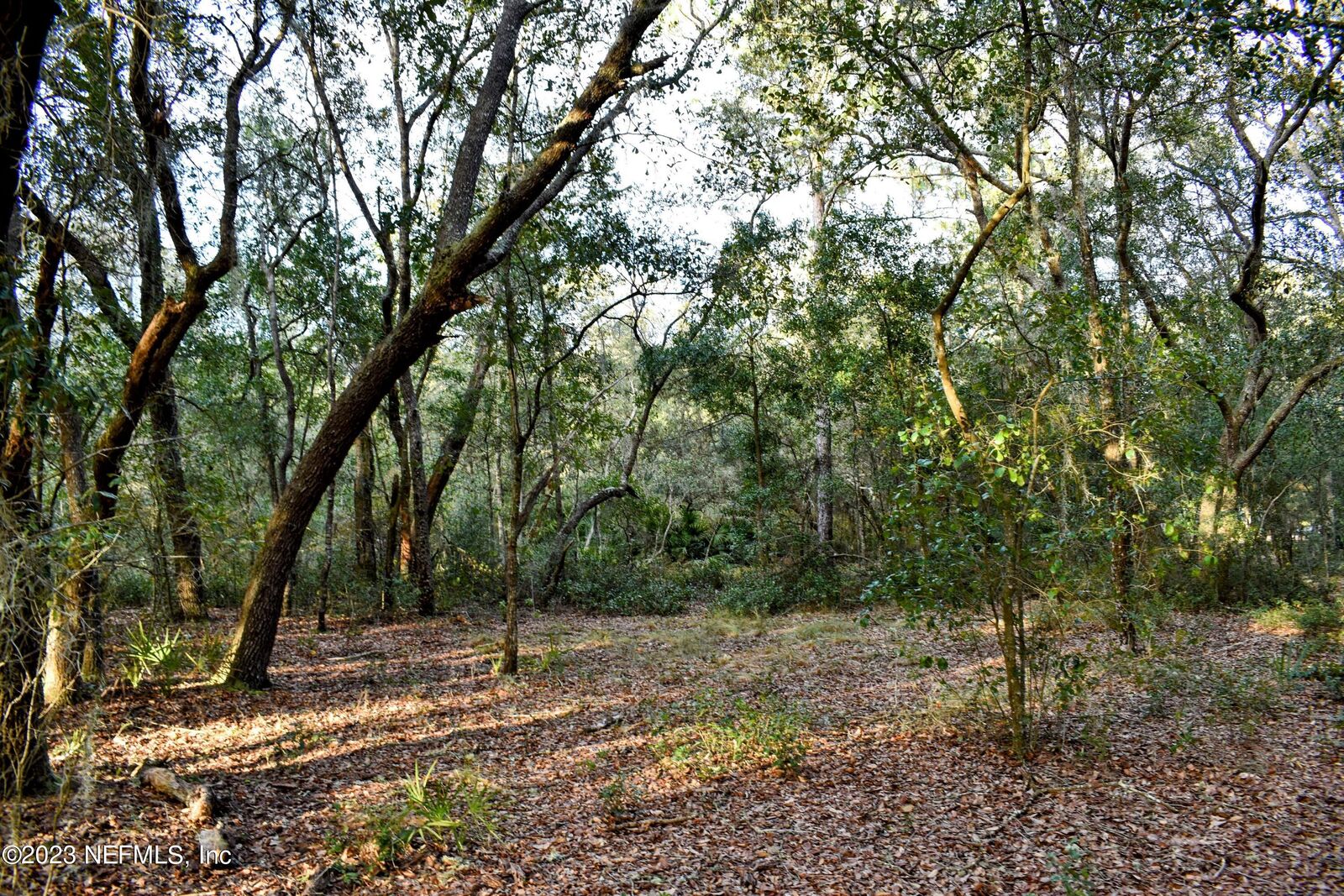 Property Photo: 249 Simpson Drive FL 32148