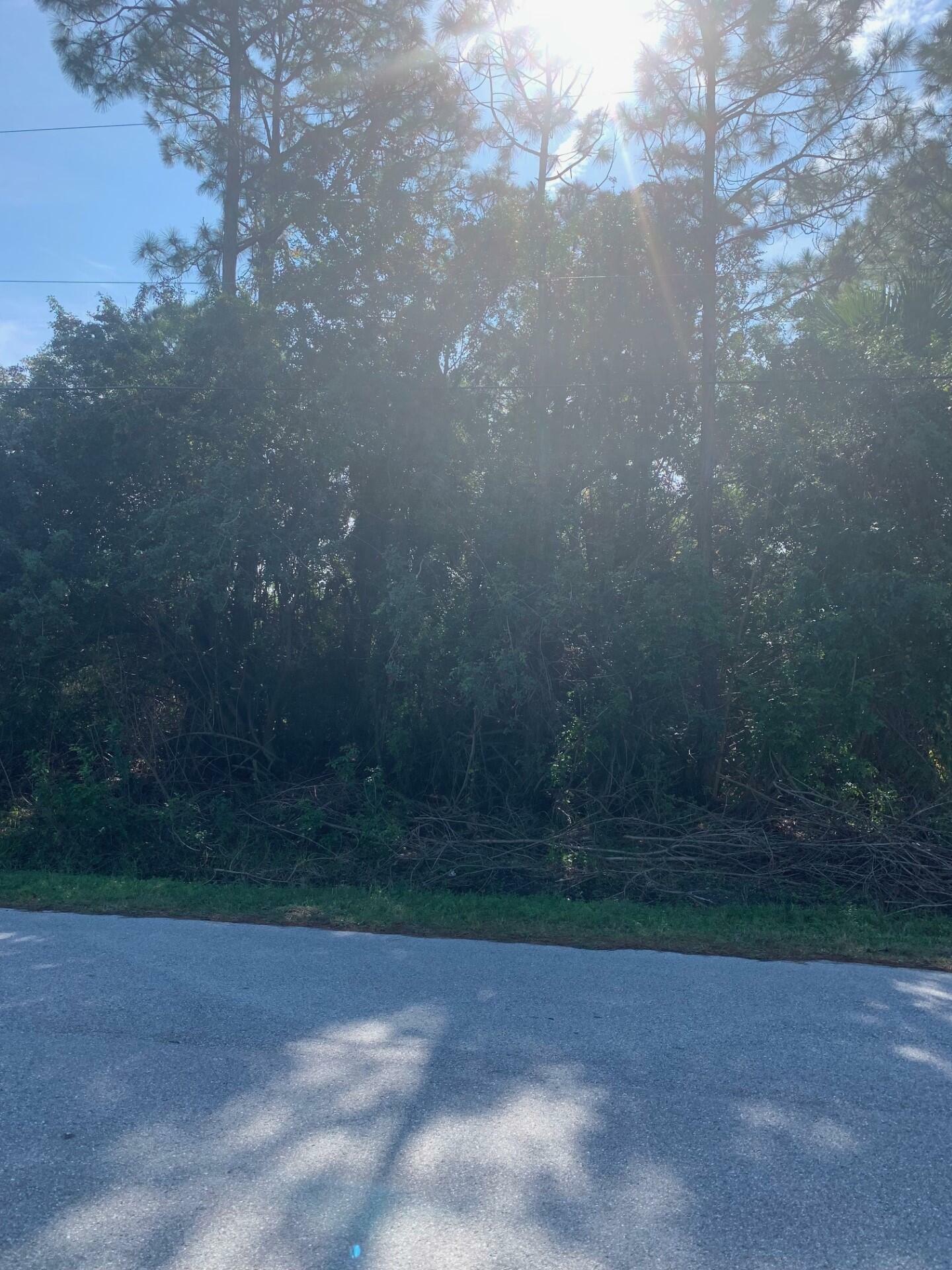 Property Photo:  1162 Westunder Street SE  FL 32909 