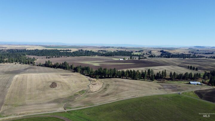 Tbd Herrick Rd  Craigmont ID 83523 photo