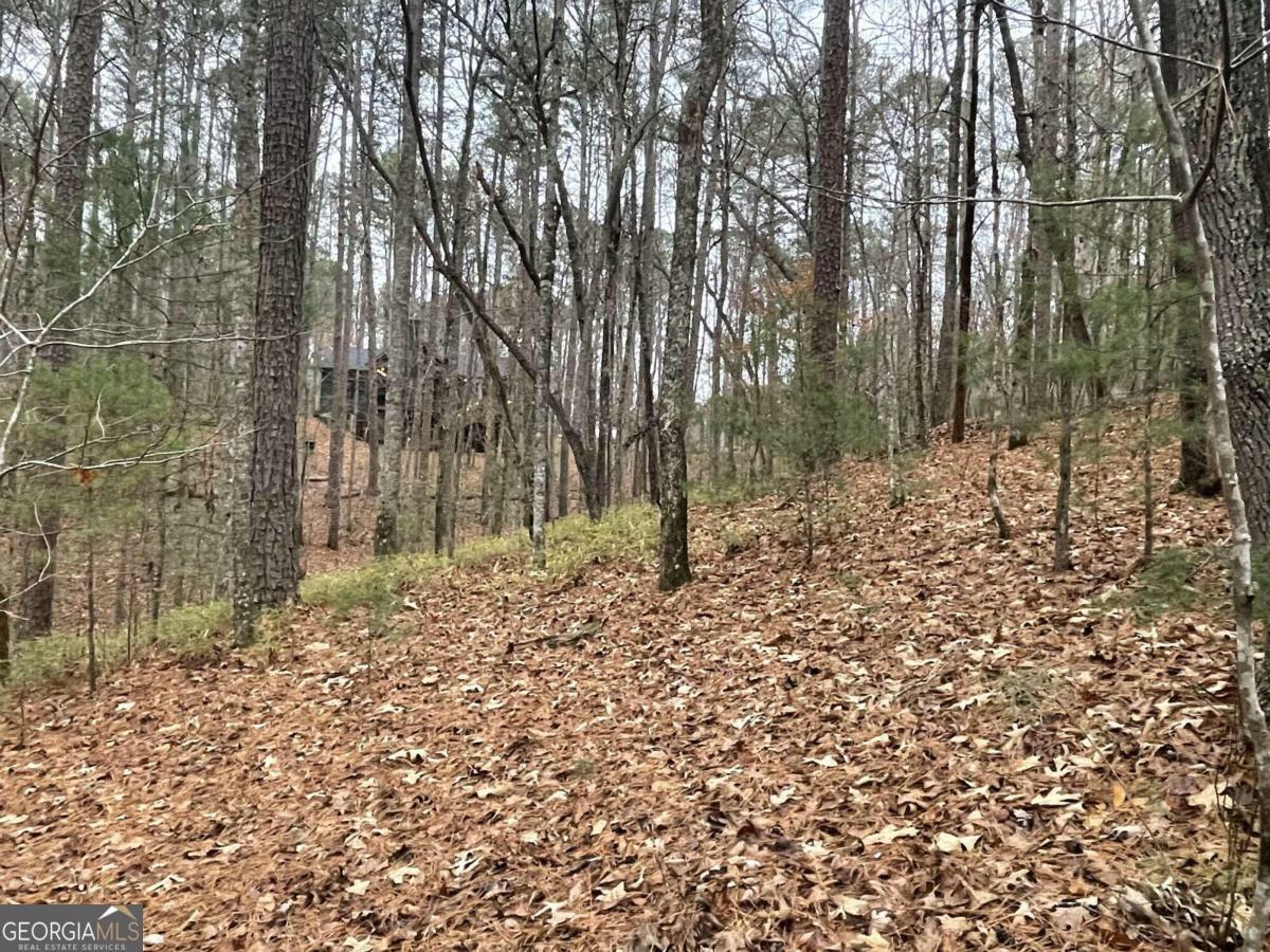 Property Photo:  Lot 2998 Monticello Drive  GA 30540 