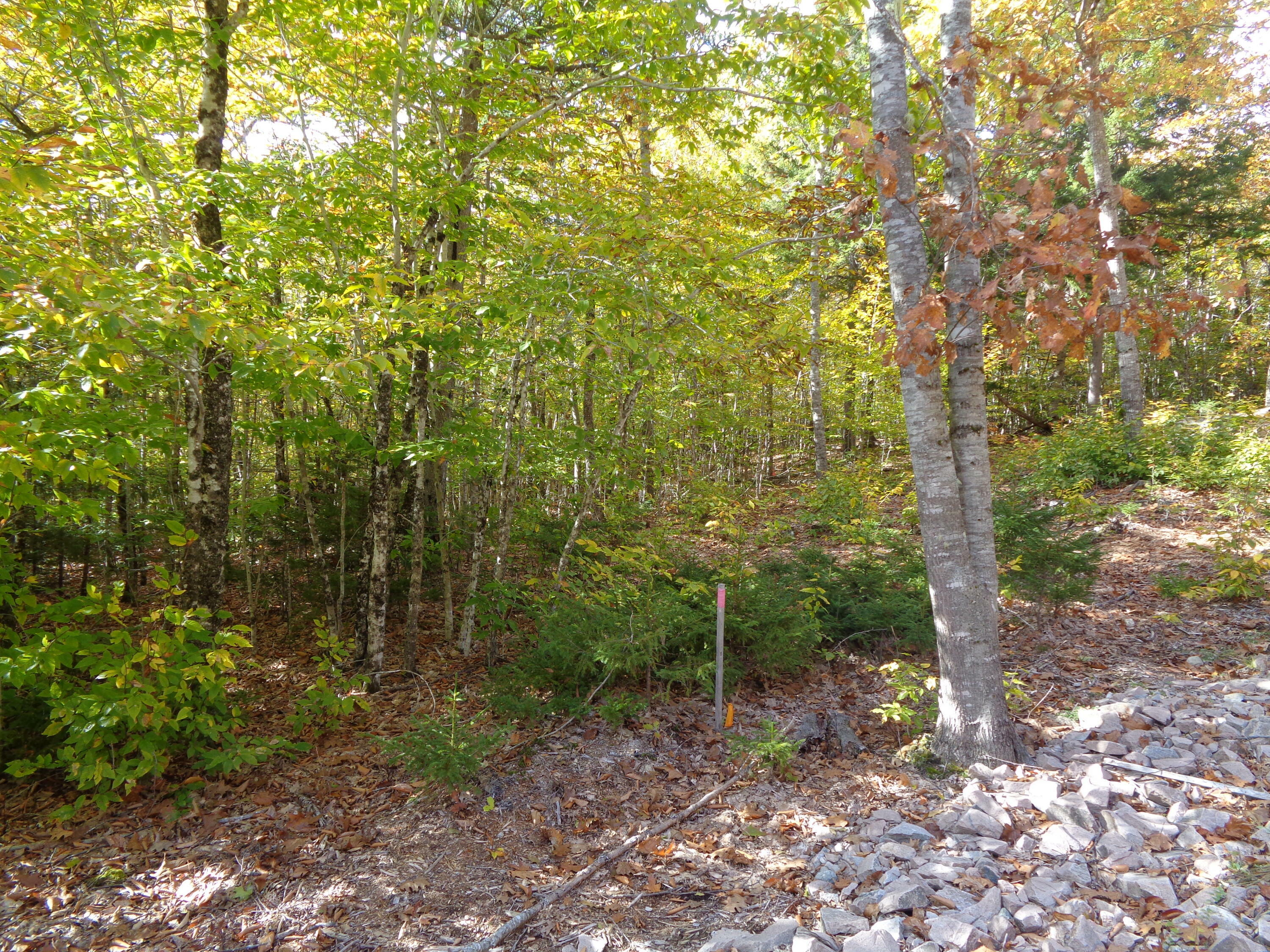 Property Photo:  Lot 3 Manhattan Way  ME 04605 