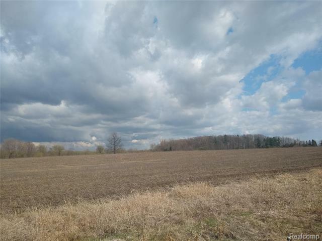 2125 Bowman Road  Imlay Twp MI 48444 photo