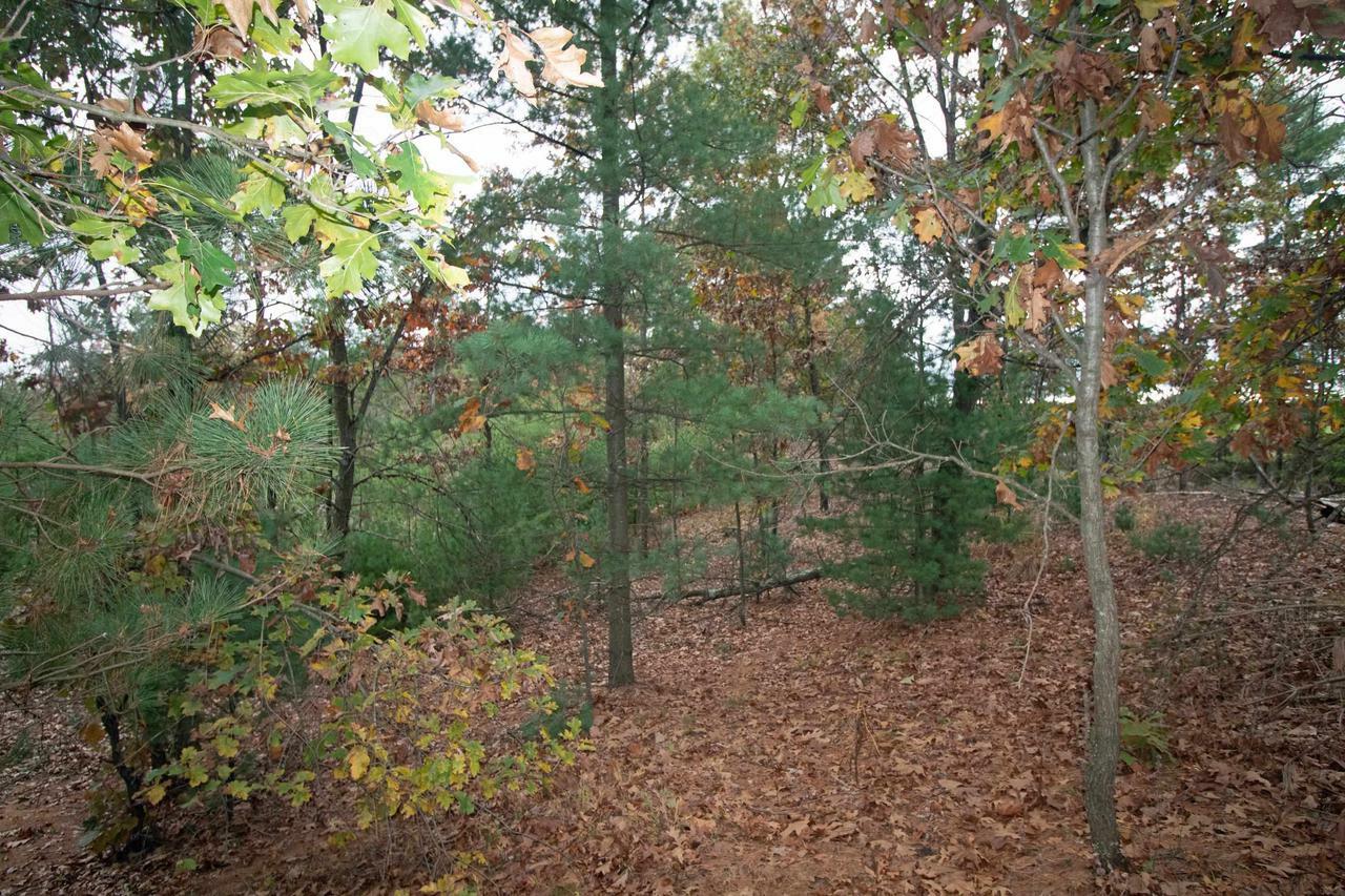 Property Photo:  L6 White Pine  WI 53588 