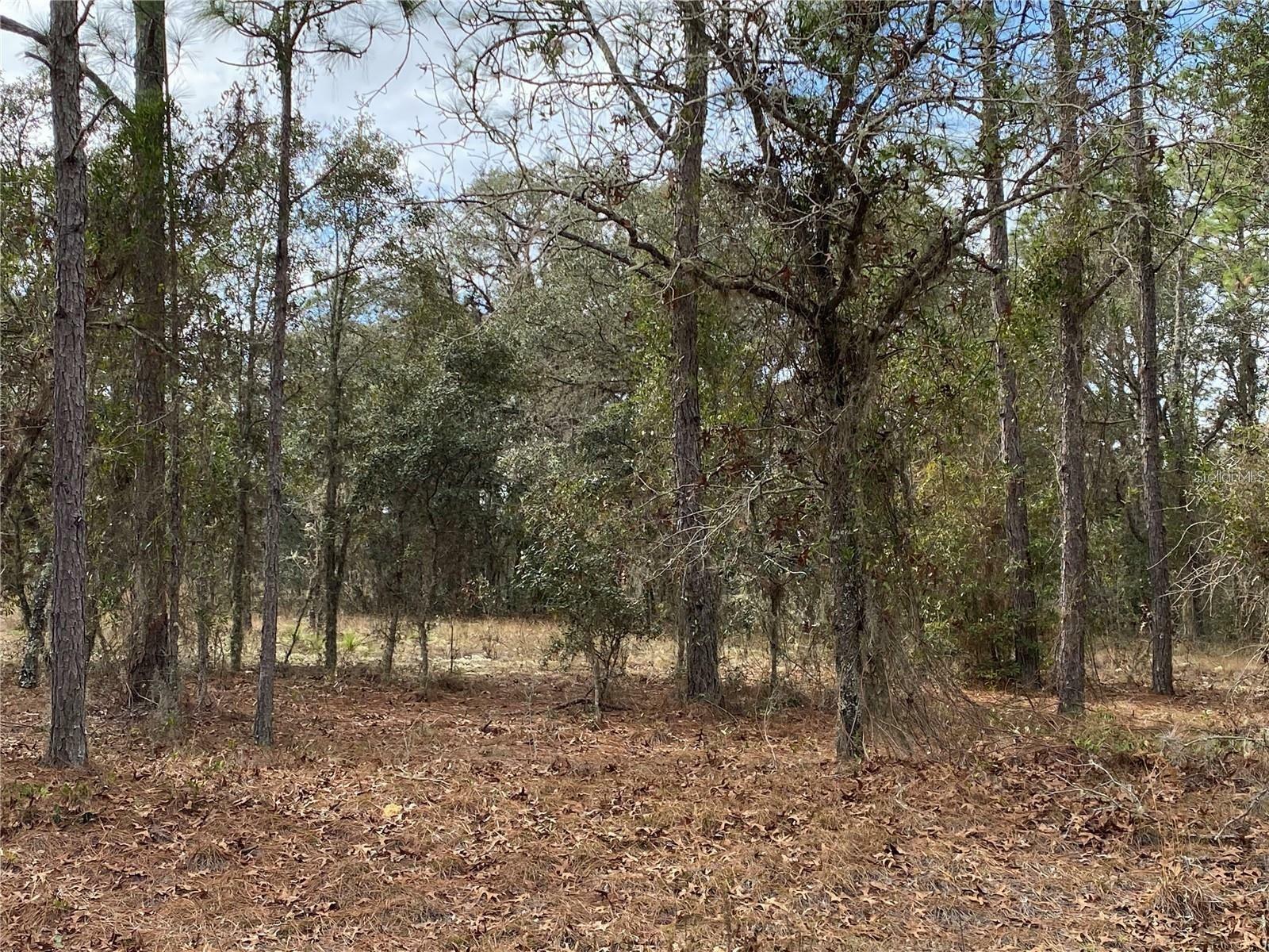 Property Photo:  0 SW Sylvan Heights  FL 34431 