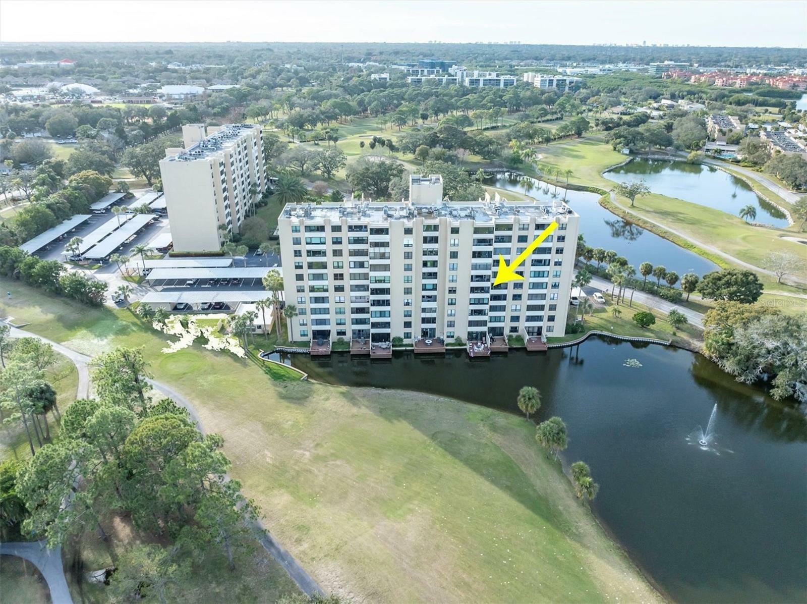 Property Photo:  2620 Cove Cay Drive 502  FL 33760 