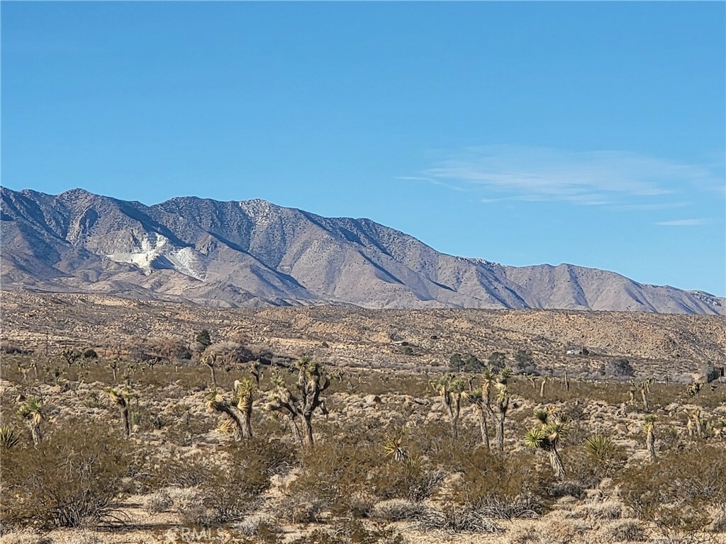 0 Camp Rock 0449-651-44 Road  Lucerne Valley CA 92356 photo