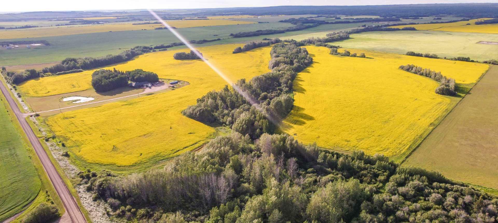 Property Photo:  Sexsmith  AB T0H 3C0 