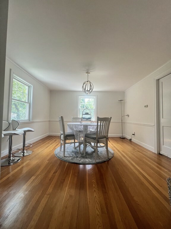 Property Photo:  245 Dedham Ave  MA 02492 