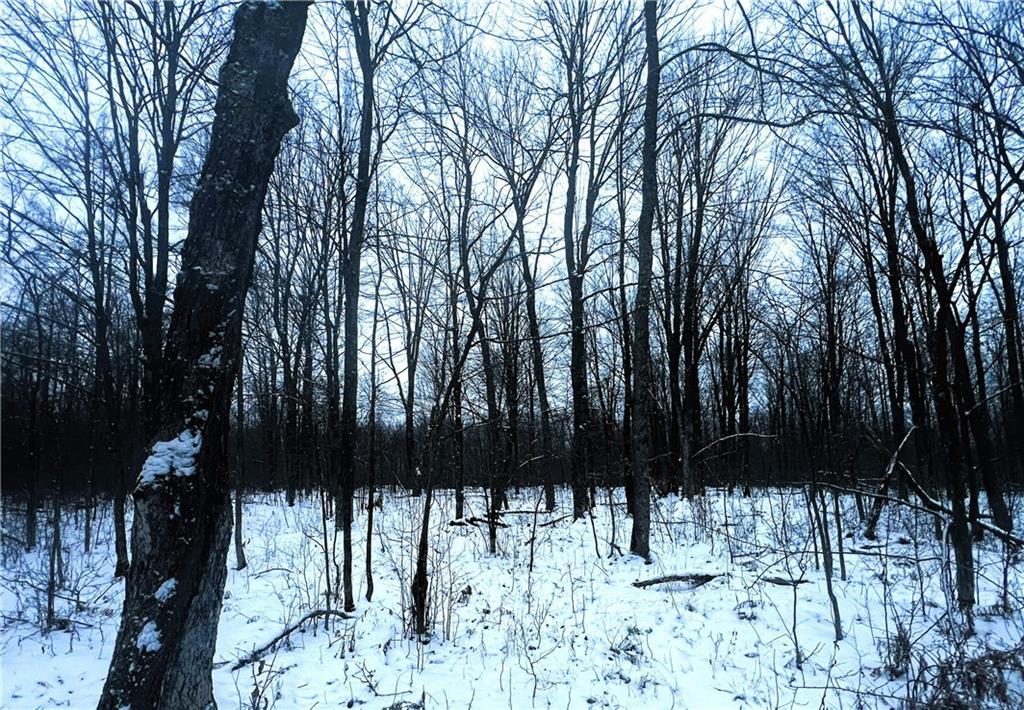 40 Acres Off Deer Path Road  Jump River WI 54766 photo