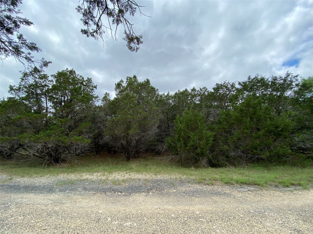 Property Photo:  9 Quiet Meadow Circle  TX 78676 