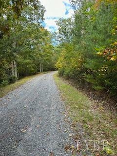 Property Photo:  4 Laurel Hollow Rd  VA 24483 