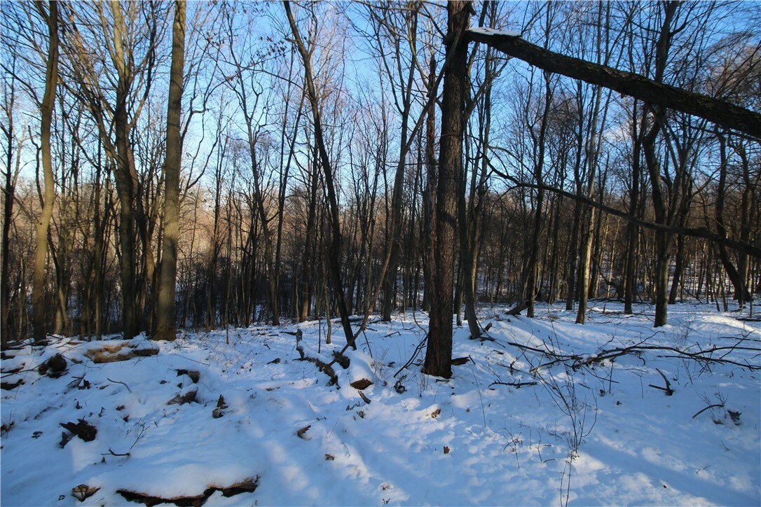 Property Photo:  Lot 169 Squirrel Rd  PA 16033 