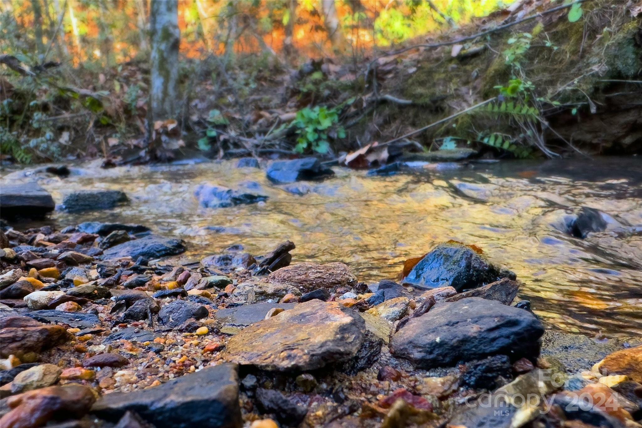 1859 Mackey Creek Road  Old Fort NC 28762 photo