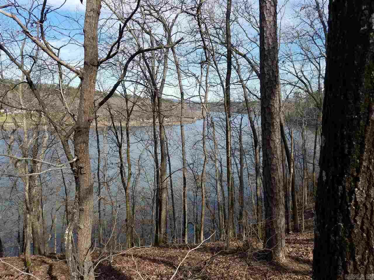 Property Photo:  Lot 34 Waterfront Court  AR 71913 