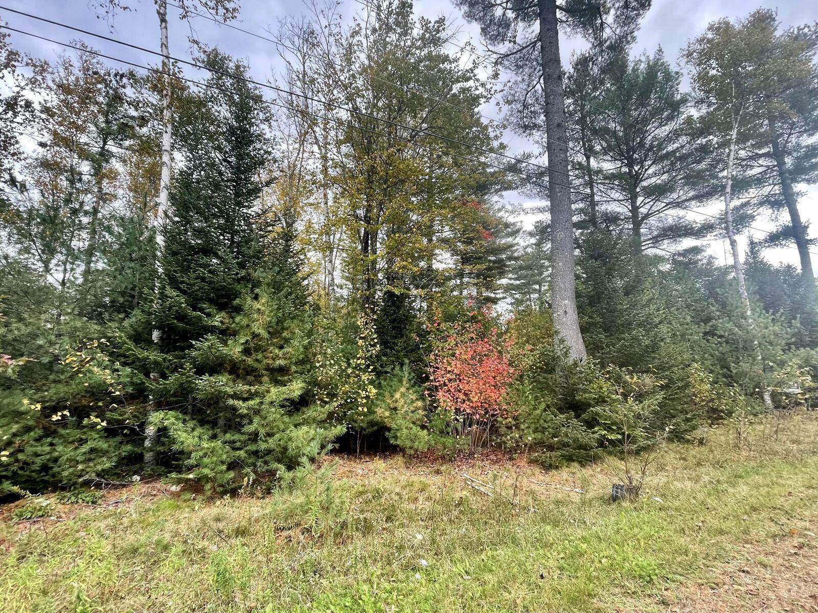 Property Photo:  Lot 9 Graystone Drive  ME 04444 