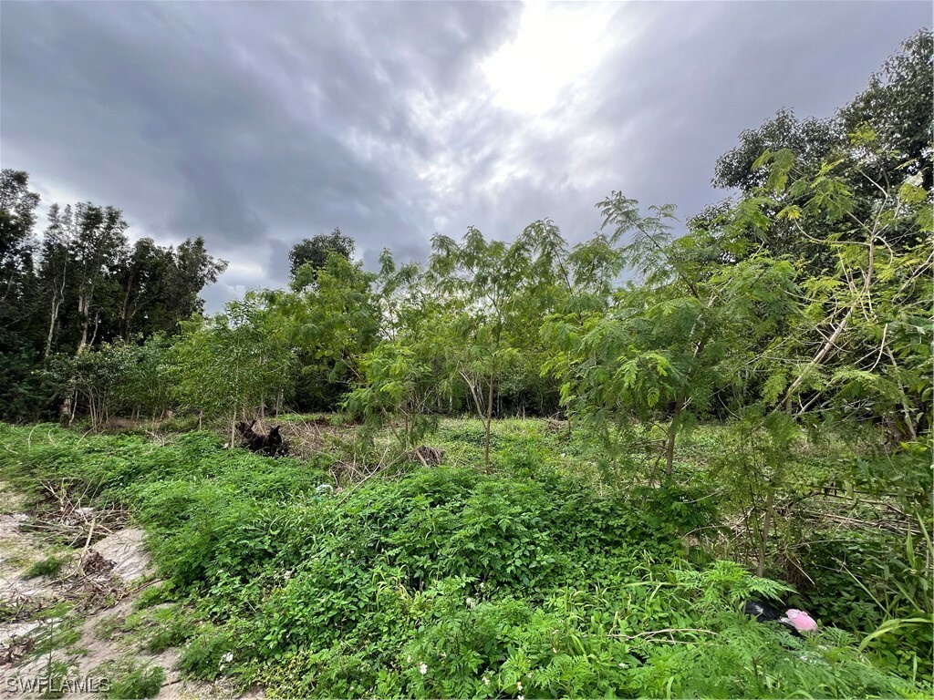 Property Photo:  17002 Lockhart Drive  FL 34114 