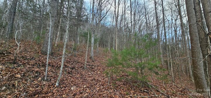 Property Photo:  4 Lots Seay Mountain Road  NC 28785 