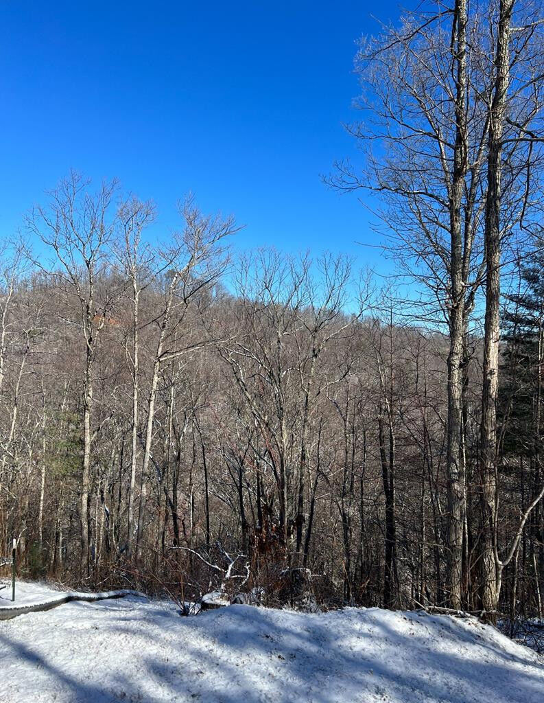 Property Photo:  Rubicon Ridge Drive  TN 37862 
