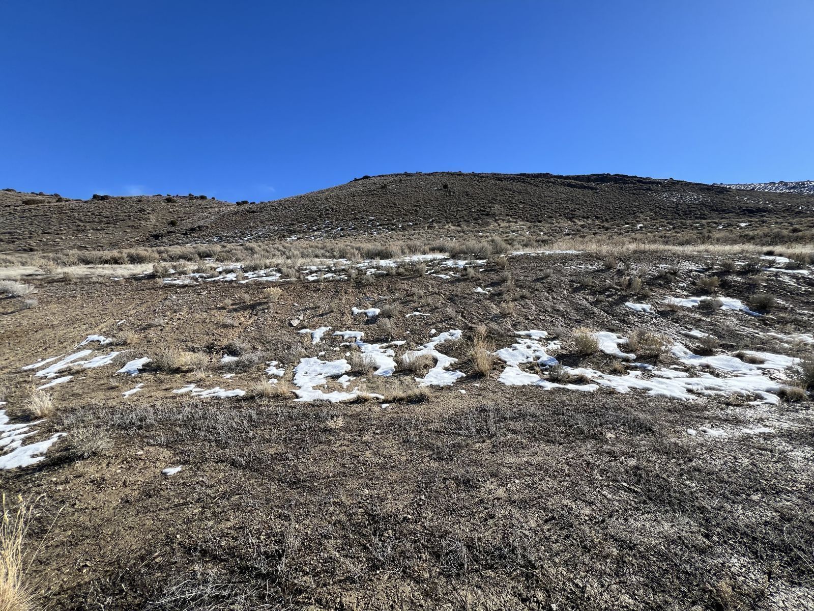 Property Photo:  Amber Way  NV 89801 